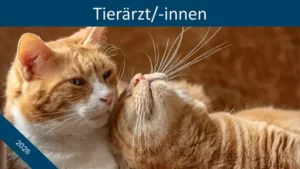 CATTITUDE meets Chronische Nierenerkrankung