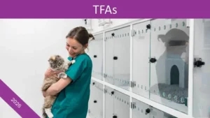 TIERISCH.FACHLICH.AUFGEKLÄRT – CATTITUDE – Hauptsache katzenfreundlich 2026