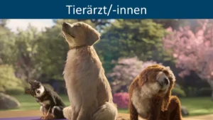 Dem Juckreiz auf der Spur: Allergien beim Hund verstehen und erfolgreich behandeln