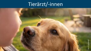 Bandwürmer beim Hund: Zwischen Diagnose-LÜCKE und ZOONOSE-Gefahr